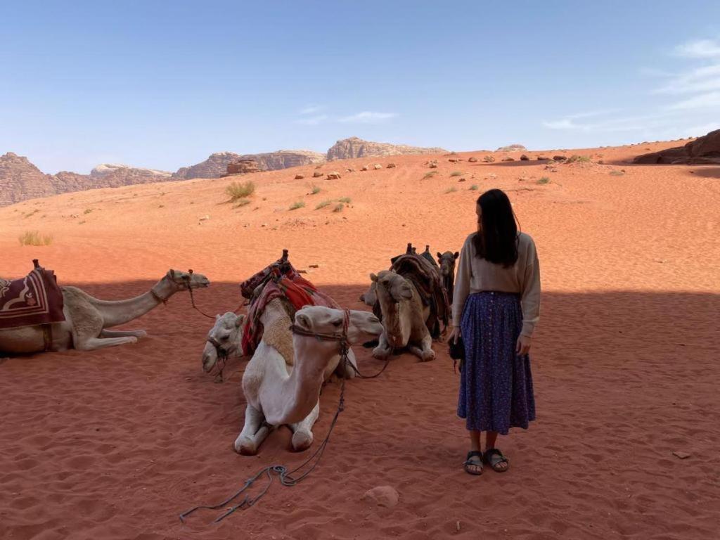 Mojo Camp, Wadi Rum Extérieur photo