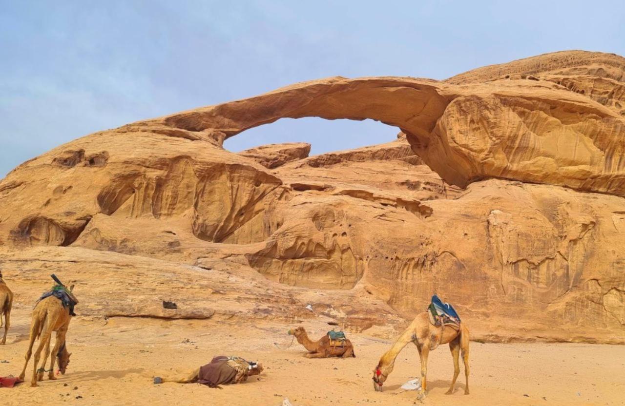 Mojo Camp, Wadi Rum Extérieur photo