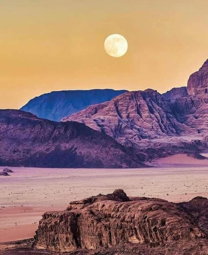 Mojo Camp, Wadi Rum Extérieur photo