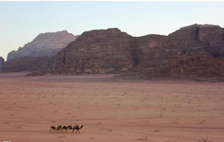 Mojo Camp, Wadi Rum Extérieur photo